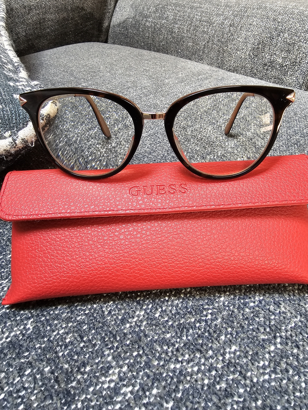 GUESS Women's Cat-Eye Glasses in Brown with Red Case